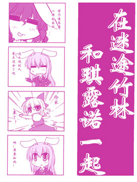 在迷途竹林和琪露诺一起