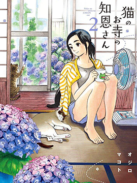 猫之寺的知恩姐