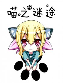 喵之迷途