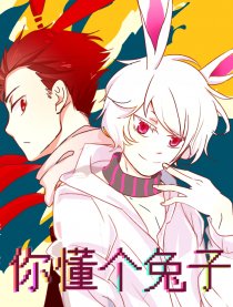 你懂个兔子