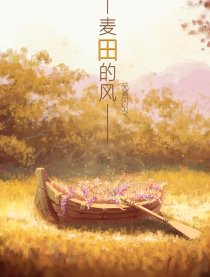 麦田的风