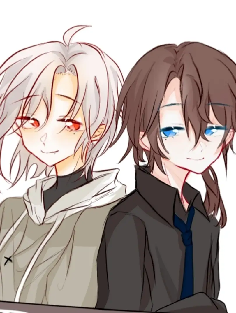 捡猫后的进行日常