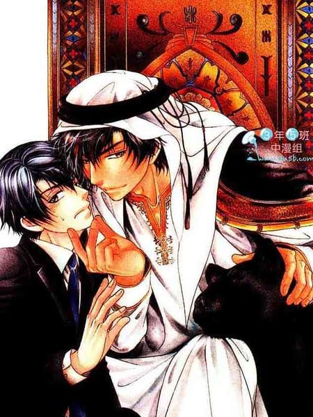 傲慢王子与秘密情人的爱恋