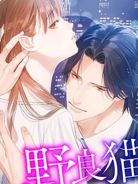 流浪猫沉溺于爱